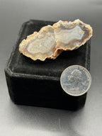 Graveyard Point Banded Agate Nodule Druzy Agate Specimen