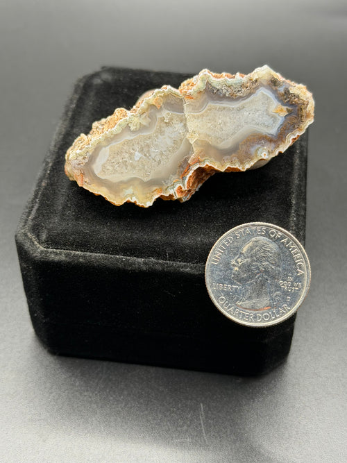 Graveyard Point Banded Agate Nodule Druzy Agate Specimen