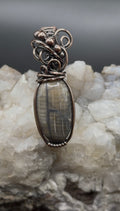 Petrified Wood Southwest Washington Copper Wire Wrapped Pendant