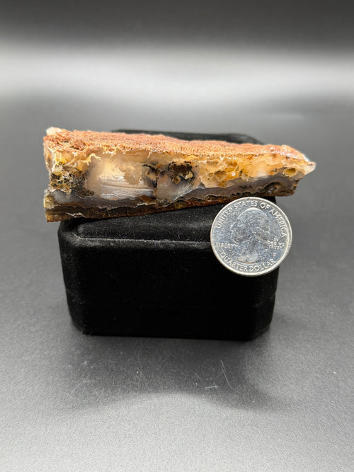 Graveyard Point Plume Agate Specimen Display Piece