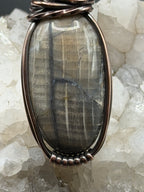 Petrified Wood Southwest Washington Copper Wire Wrapped Pendant