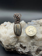 Petrified Wood Southwest Washington Copper Wire Wrapped Pendant