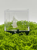 Timberwolf Mountain Quartz Specimen Display Box