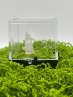 Timberwolf Mountain Quartz Specimen Display Box