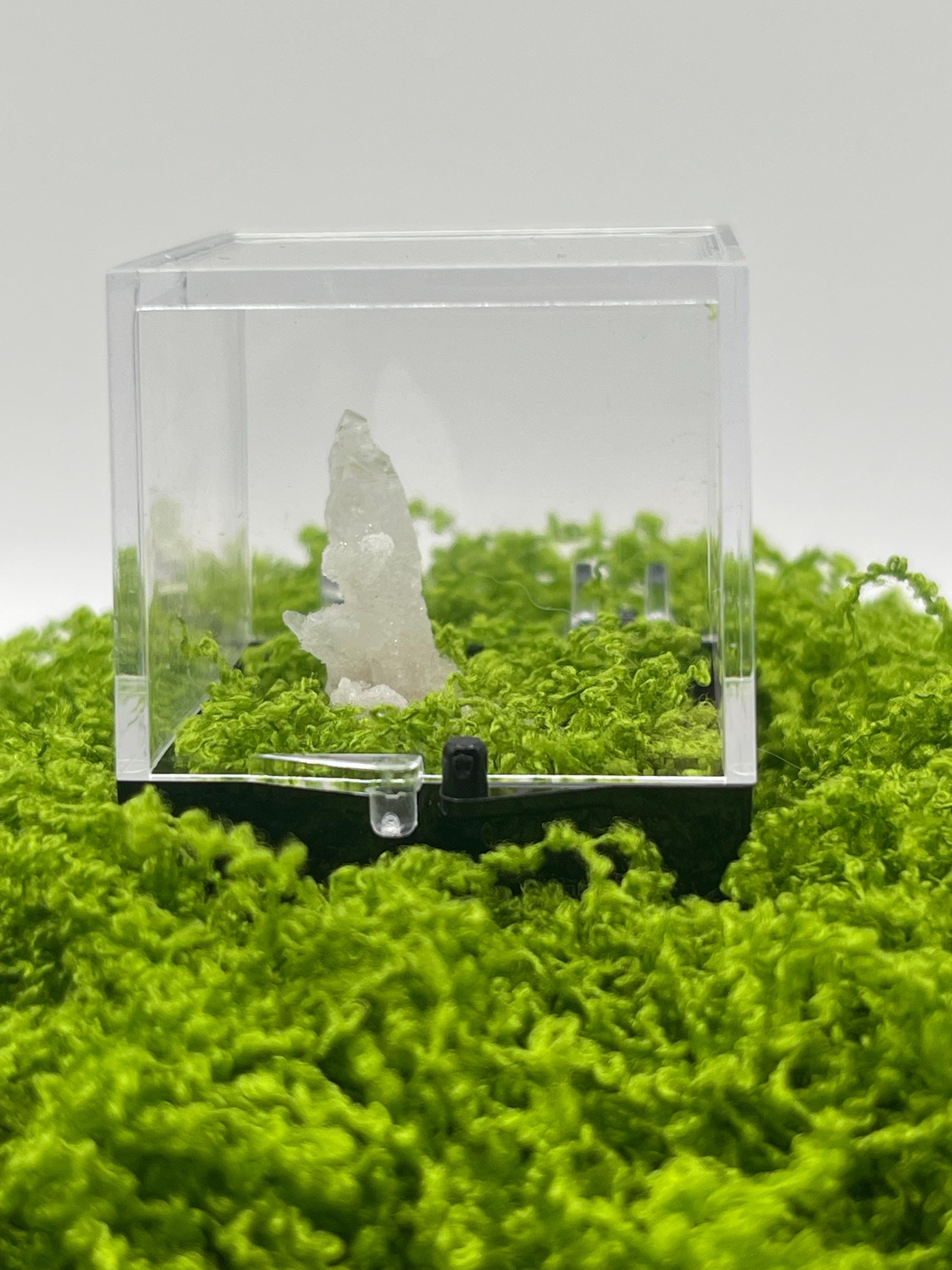 Timberwolf Mountain Quartz Specimen Display Box