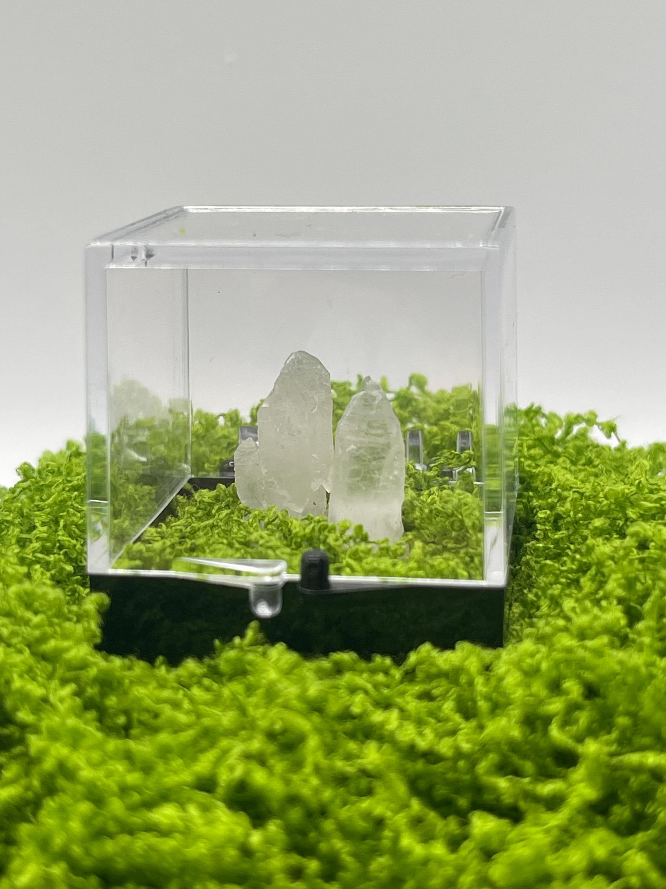 Timberwolf Mountain Quartz Pair Specimen Display Box