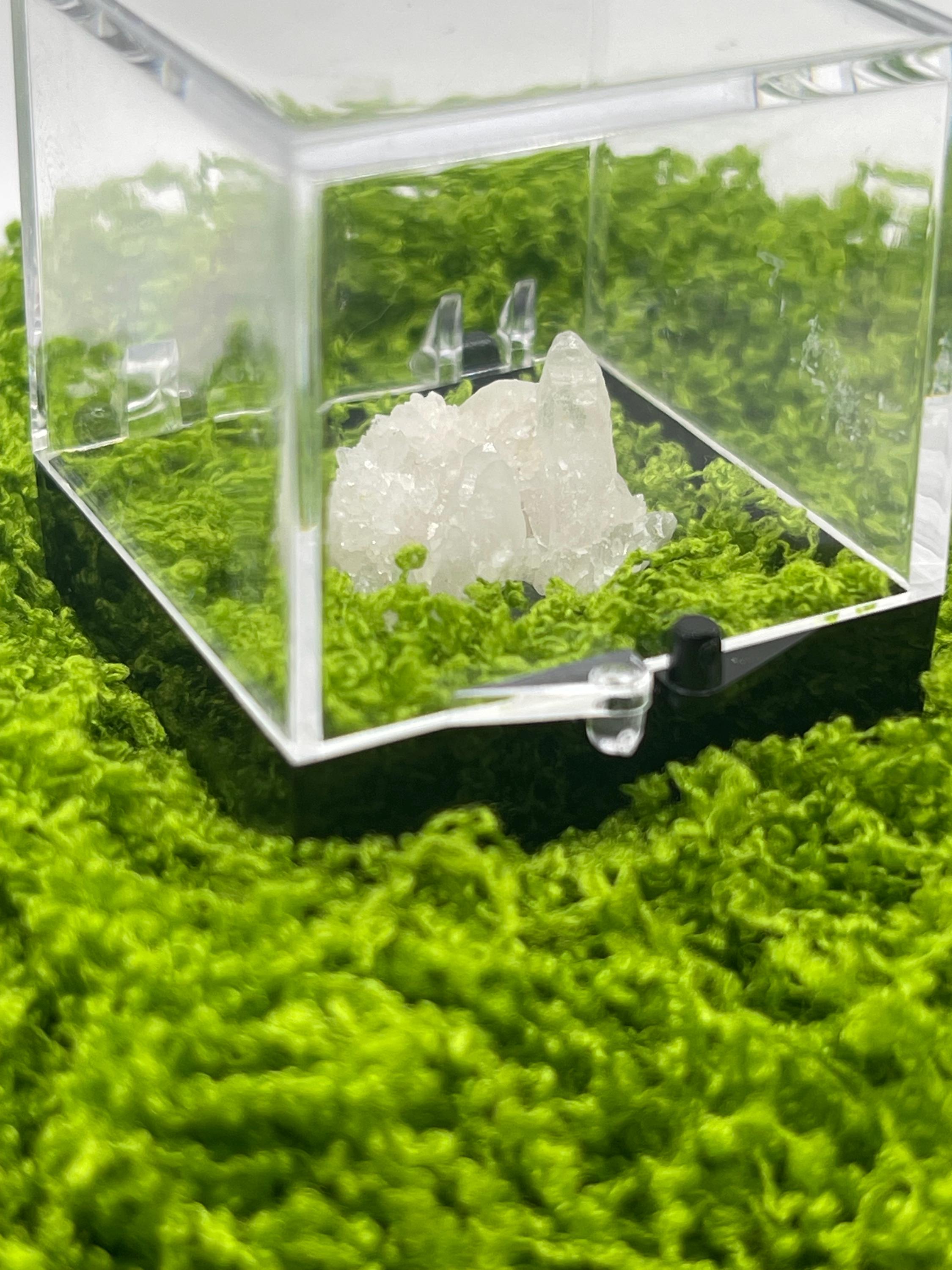 Timberwolf Mountain Druzy Quartz Specimen Display Box