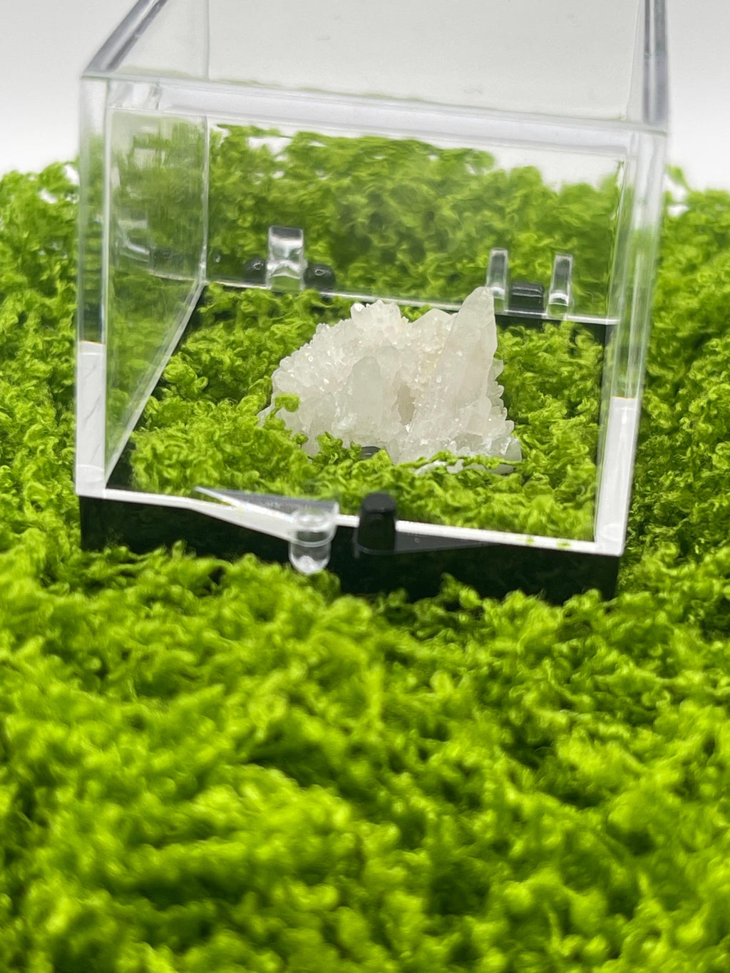 Timberwolf Mountain Druzy Quartz Specimen Display Box