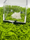 Timberwolf Mountain Druzy Quartz Specimen Display Box