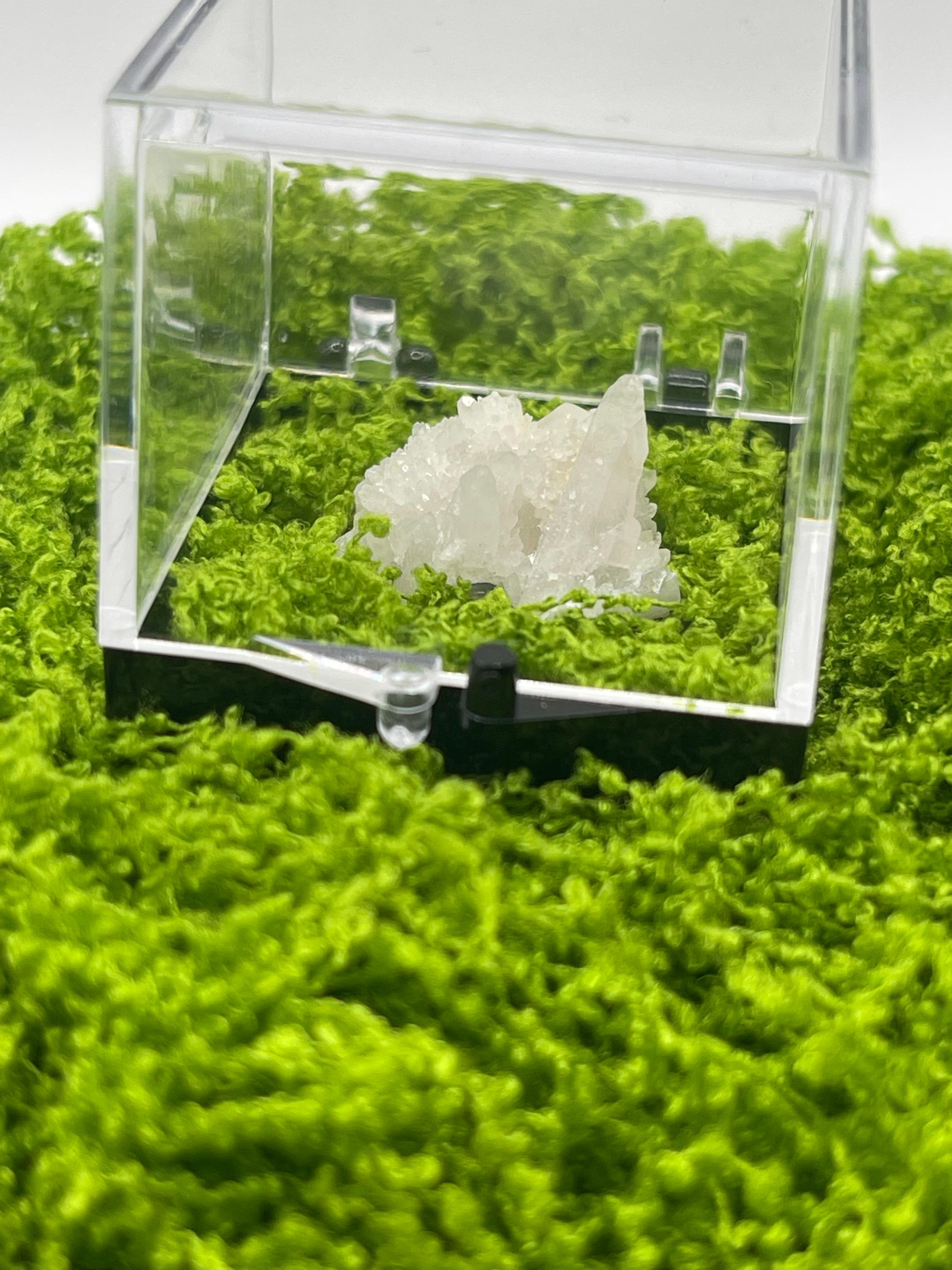 Timberwolf Mountain Druzy Quartz Specimen Display Box