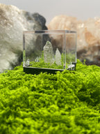 Timberwolf Mountain Quartz Pair Specimen Display Box