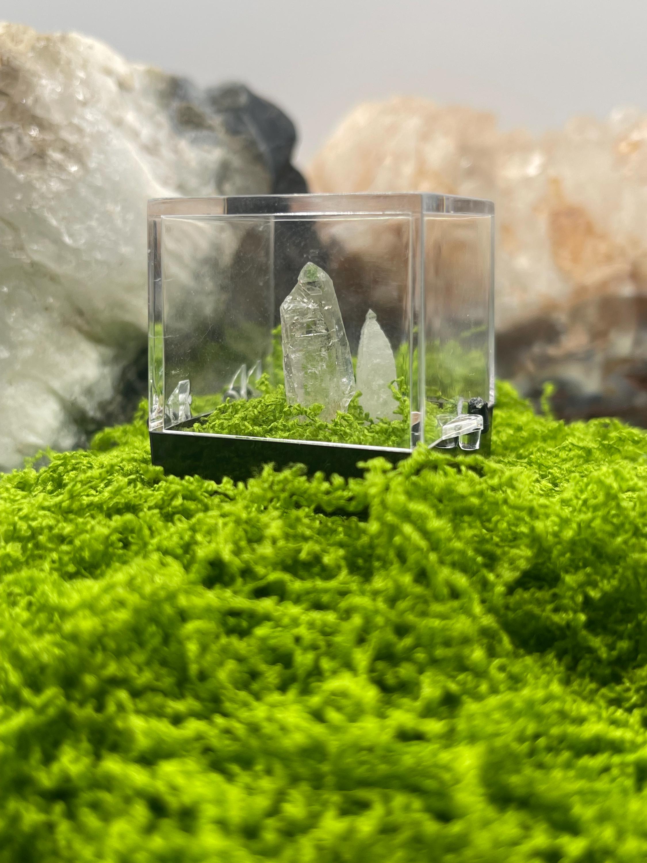 Timberwolf Mountain Quartz Pair Specimen Display Box