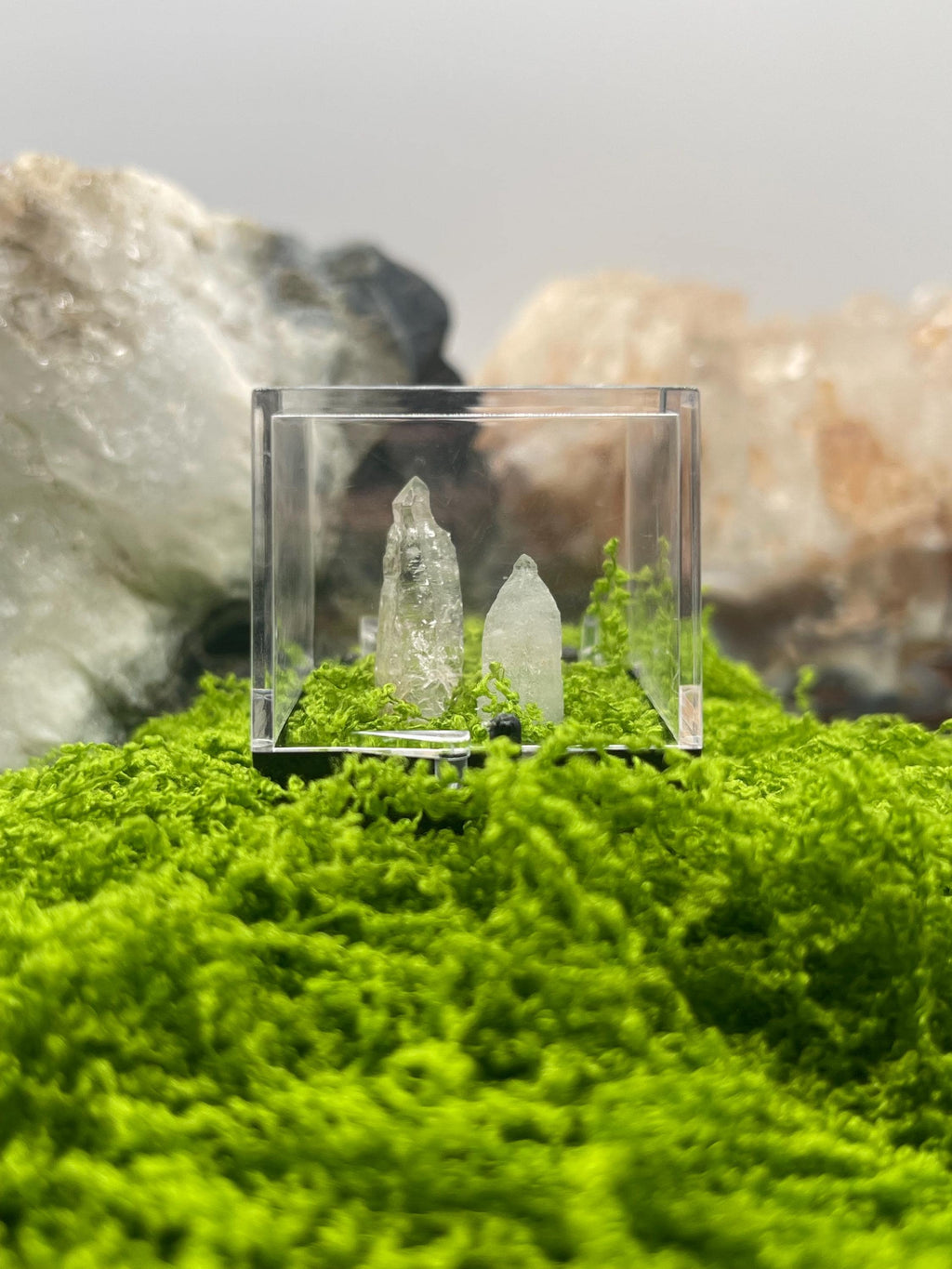 Timberwolf Mountain Quartz Pair Specimen Display Box