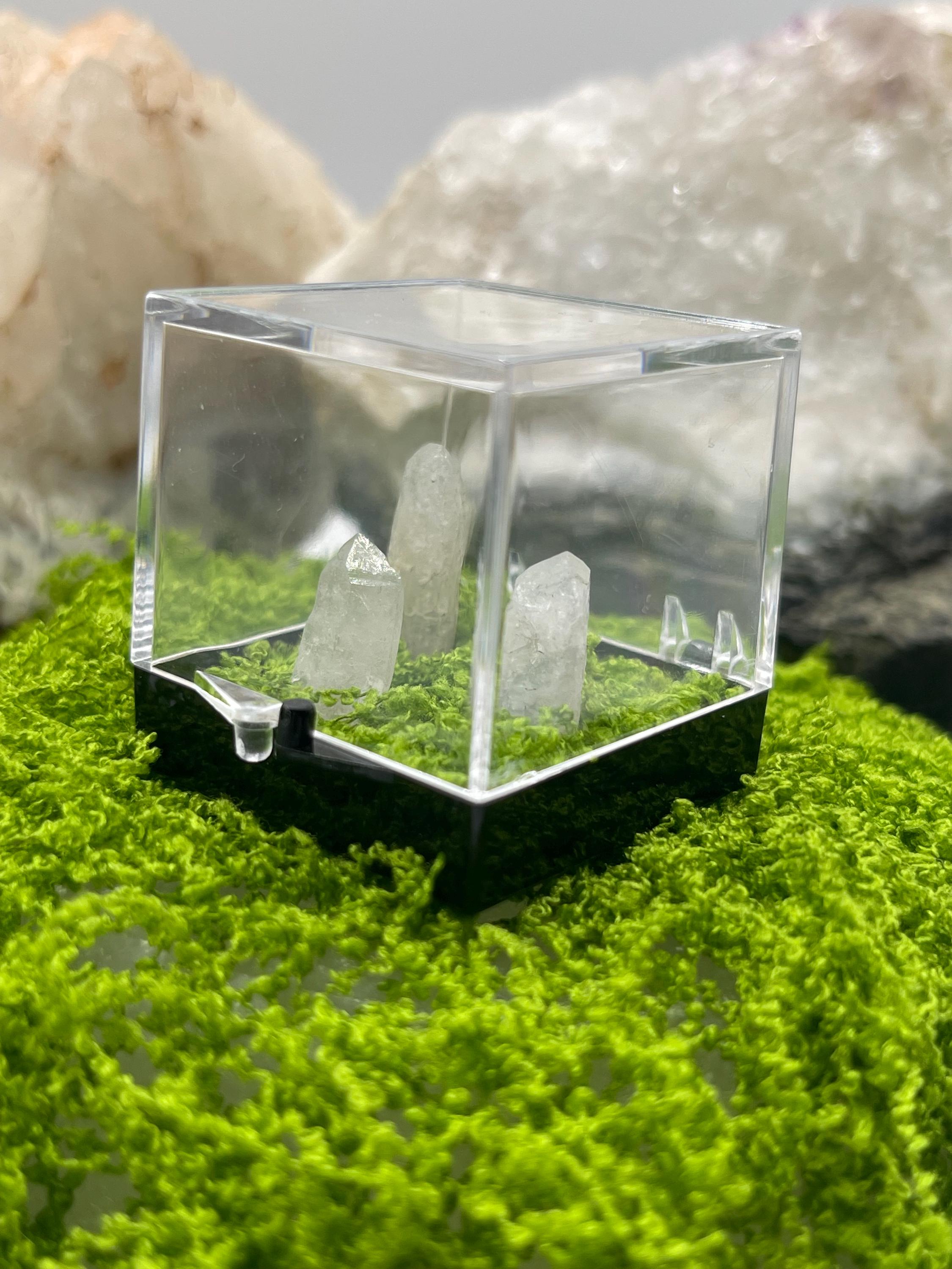 Timberwolf Mountain Quartz Trio Specimen Display Box