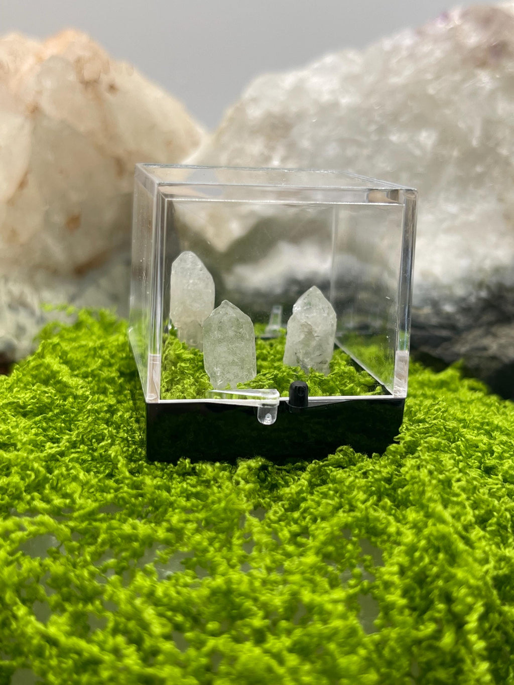 Timberwolf Mountain Quartz Trio Specimen Display Box