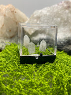 Timberwolf Mountain Quartz Trio Specimen Display Box