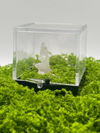 Timberwolf Mountain Quartz Specimen Display Box