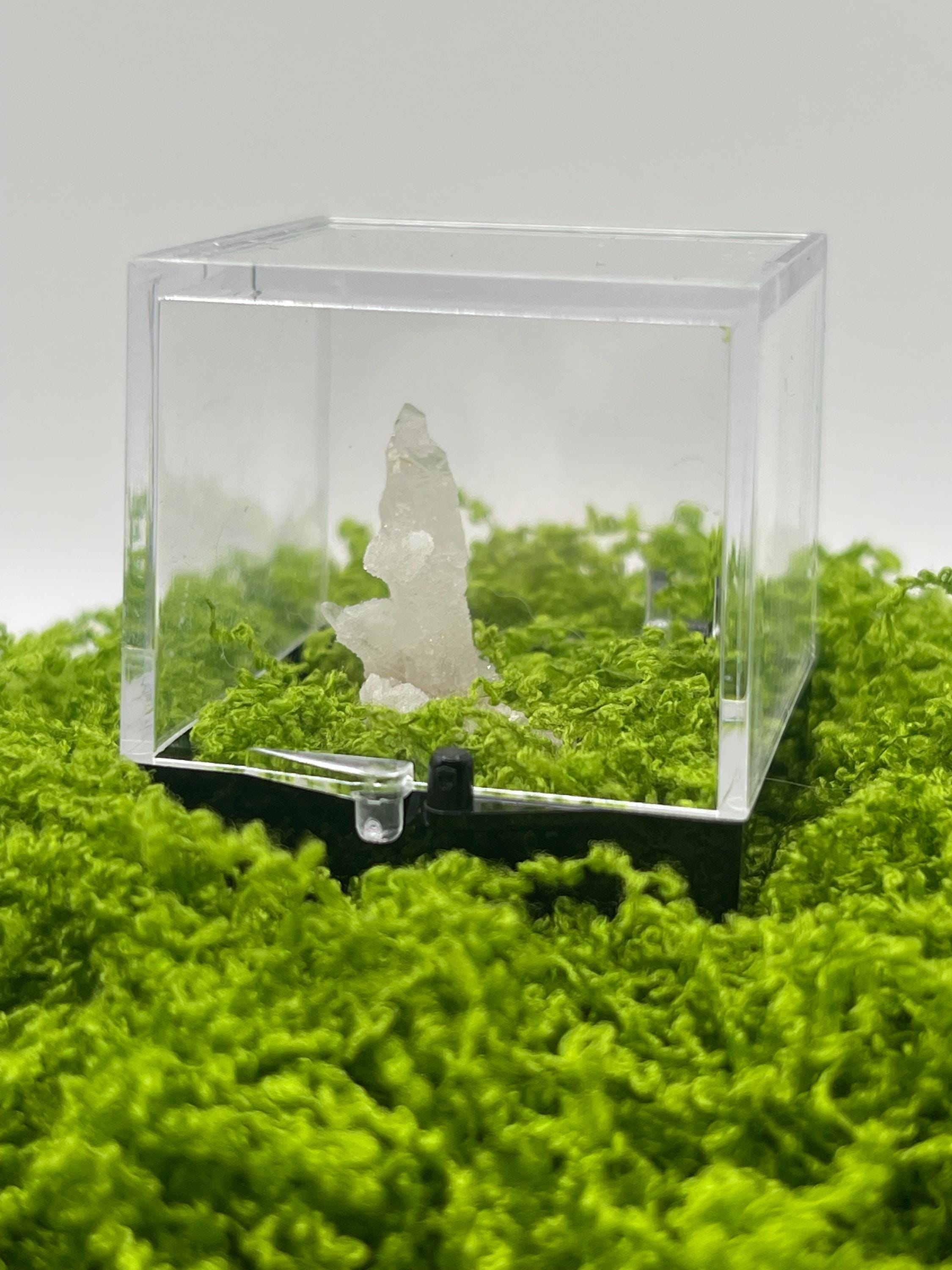 Timberwolf Mountain Quartz Specimen Display Box