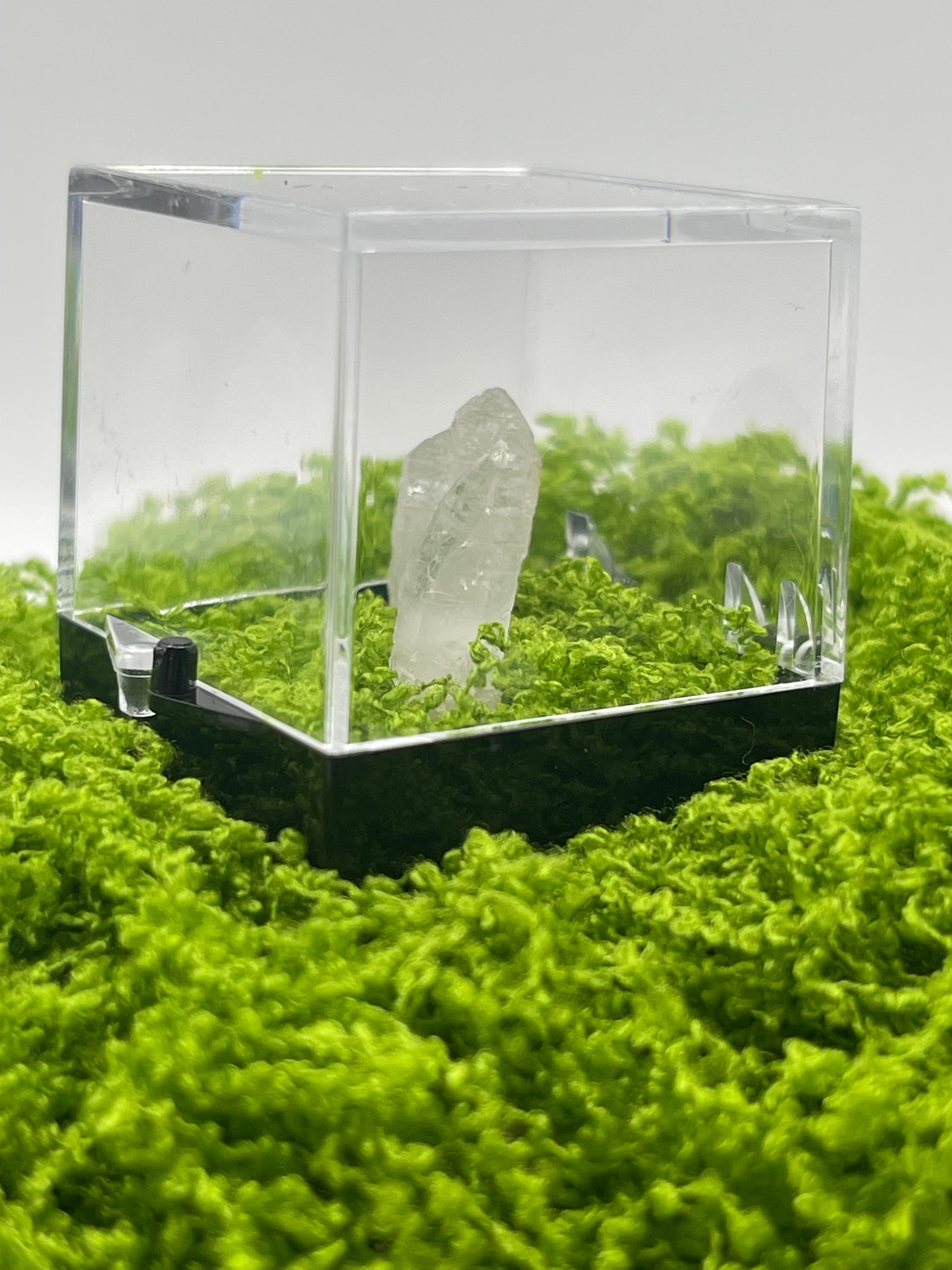 Timberwolf Mountain Quartz Pair Specimen Display Box