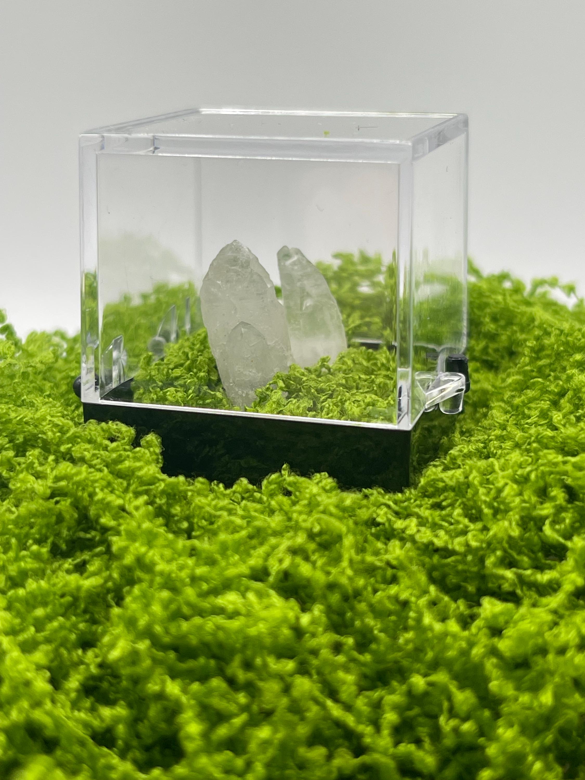 Timberwolf Mountain Quartz Pair Specimen Display Box