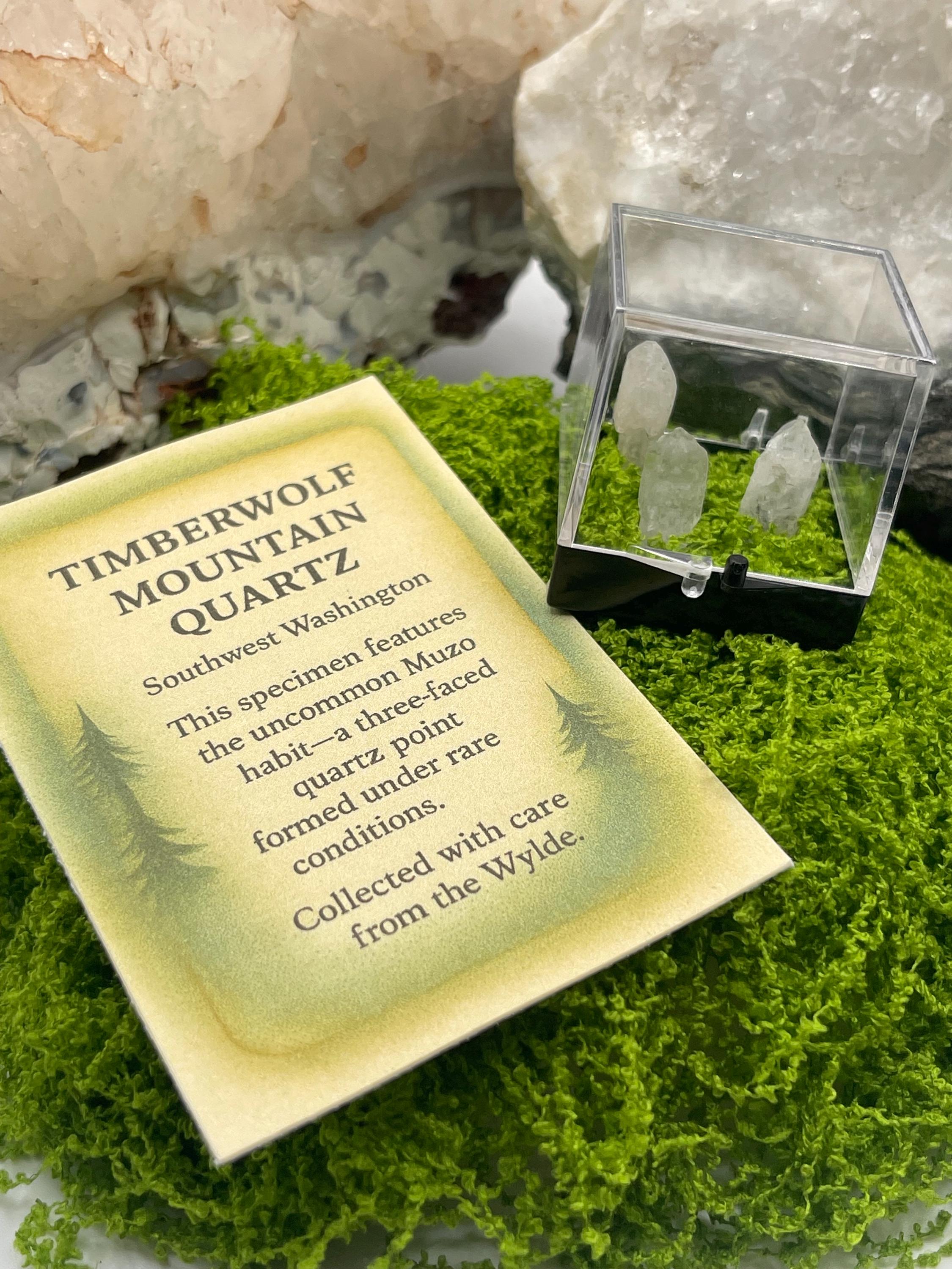 Timberwolf Mountain Quartz Trio Specimen Display Box