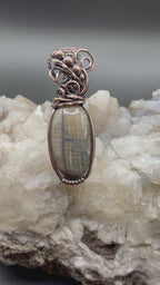 Petrified Wood Southwest Washington Copper Wire Wrapped Pendant